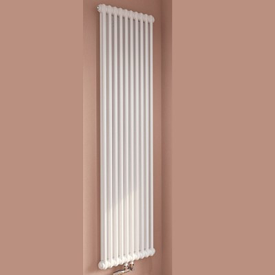 Трубчатые радиаторы Arbonia 2180/6 N69 ТВВ