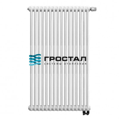 Трубчатые радиаторы Arbonia 2180/16 N69 ТВВ